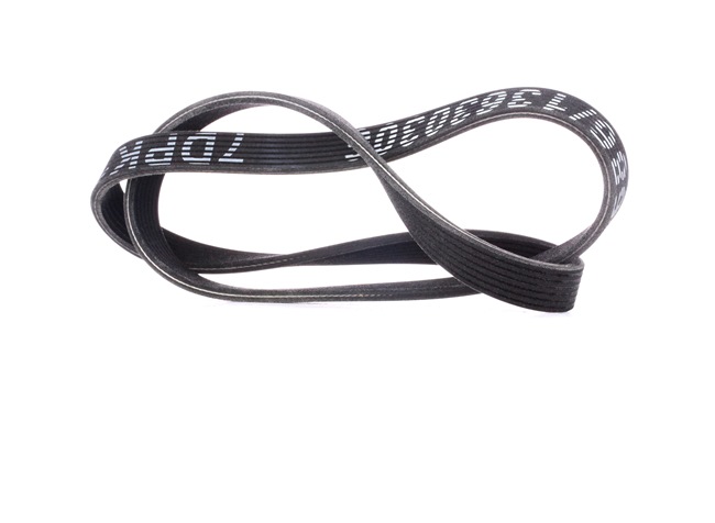 Multiriem (305P0356) van RIDEX Voor VW GOLF III Variant (1H5) 2.9 VR6 Syncro (140 KW / 190 PK / Van 1994)