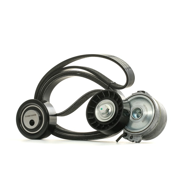 Poly V-riem set (542R0002) van RIDEX Voor PEUGEOT 206 SW (2E/K) 2.0 HDi (66 KW / 90 PK / Van 2002)