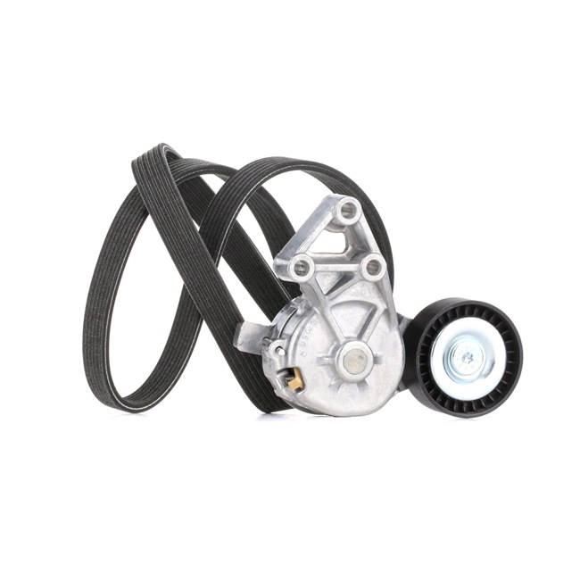 OEM 06A260849 RIDEX  Keilrippenriemensatz 542R0004 für VW, AUDI, FORD, SKODA, SEAT