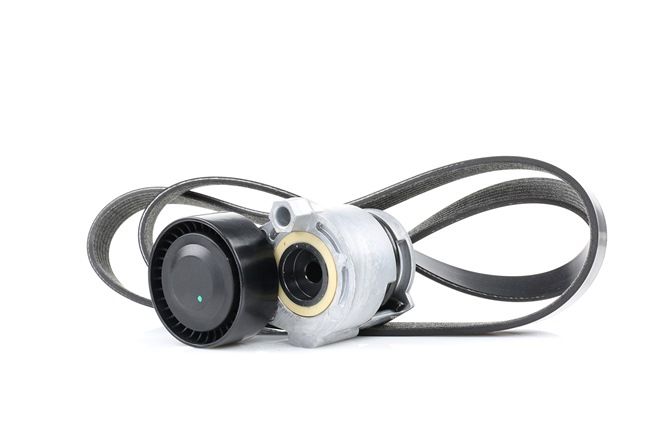 Poly V-riem set (542R0023) van RIDEX Voor RENAULT CLIO II (BB0/1/2_, CB0/1/2_) 1.5 dCi (42 KW / 57 PK / Van 2001)