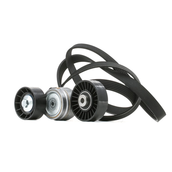 OEM 46759720 RIDEX Moniurahihnasarja 542R0028 varten FIAT, RENAULT, ALFA ROMEO, LANCIA
