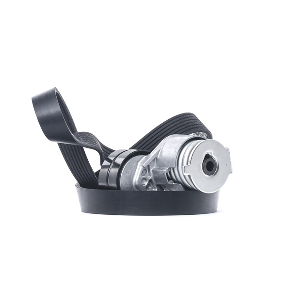 Poly V-riem set (542R0029) van RIDEX Voor RENAULT MEGANE II Saloon (LM0/1_) 1.9 dCi (96 KW / 131 PK / Van 2005)