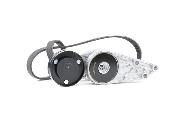 Poly V-riem set (542R0031) van RIDEX Voor VW PASSAT Variant (3B6) 1.8 4motion (125 KW / 170 PK / Van 2003)