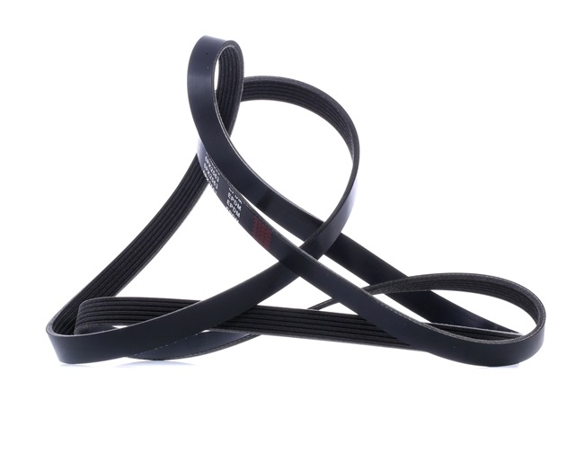 RIDEX Correia do alternador 305P0371