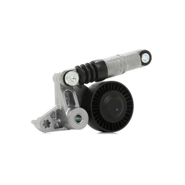 Spanrol, poly V-riem (310T0113) van RIDEX Voor AUDI A8 (4E2, 4E8) 3.0 TDI quattro (171 KW / 233 PK / Van 2003)