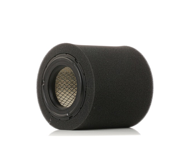 RIDEX 8A0575 Luftfilter