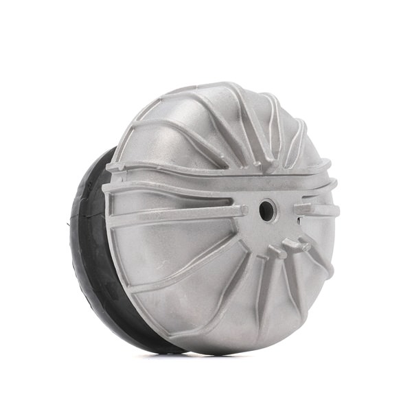 OEM A6392410413 RIDEX Moottorin tuki 247E0116 varten MERCEDES-BENZ, AUDI