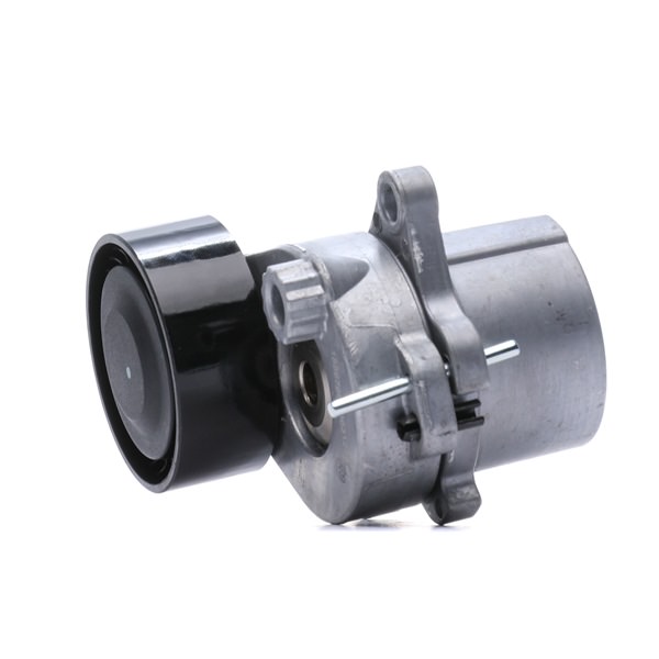 COMPASS Rullo tenditore cinghia Poly-V 310T0138 RIDEX