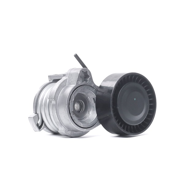 RIDEX Spanrol, poly V-riem 310T0141 voor ROLLS-ROYCE