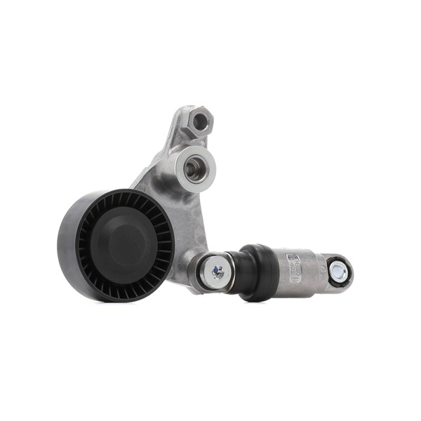 OEM 7701474013 RIDEX Strammehjul, kilerem 310T0217 for OPEL, RENAULT, SAAB, DACIA, VAUXHALL