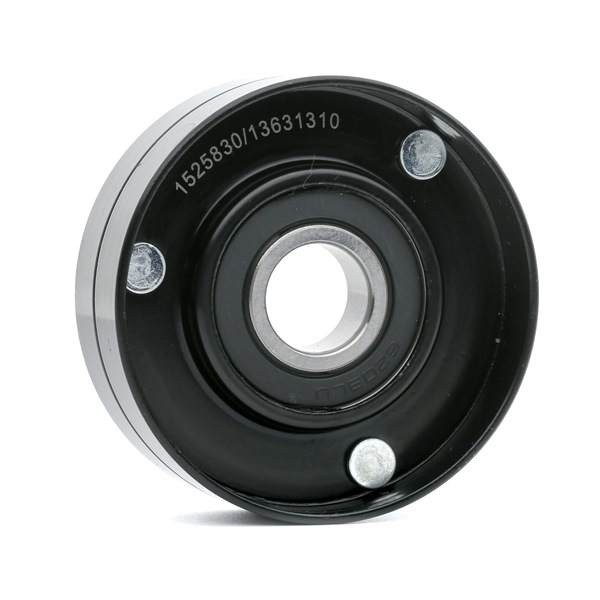 LEON Rullo tenditore cinghia Poly-V 310T0218 RIDEX