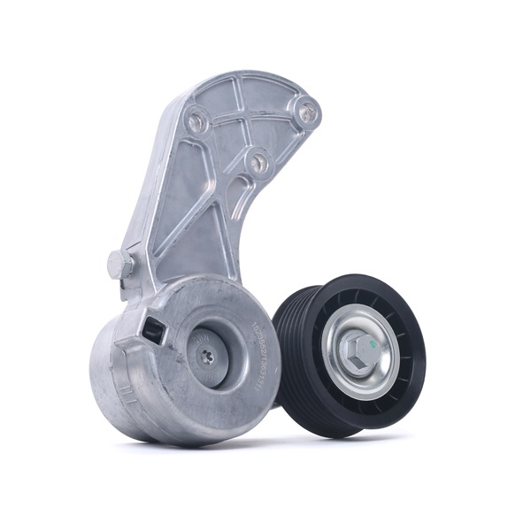 RIDEX Spanrol 310T0219