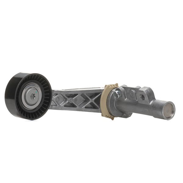 RIDEX Spannrolle, Keilrippenriemen (310T0233) von Ihrem MINI Schrägheck (R56) One (55 KW / 75 PS / ab 2010)