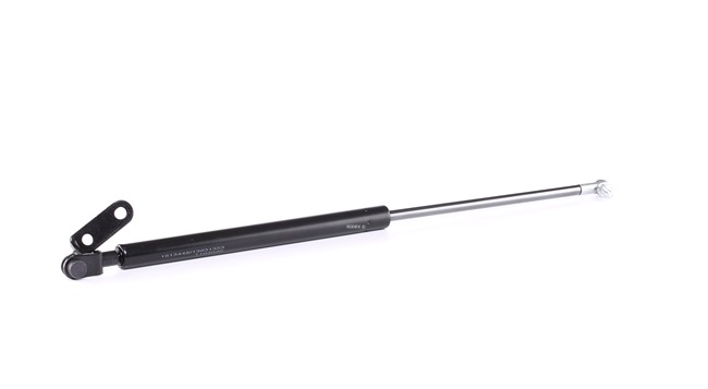 erwerben Heckklappendämpfer - RIDEX (219G0443)