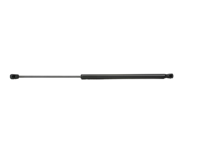 RIDEX Bagklapsdæmper / gasdæmper bagklap 219G0496