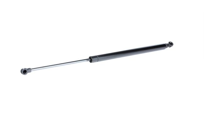 Tailgate strut 219G0569