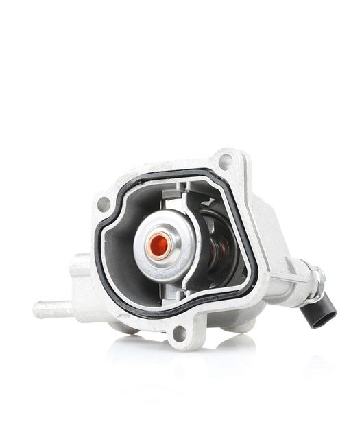 RIDEX Termostat 316T0100