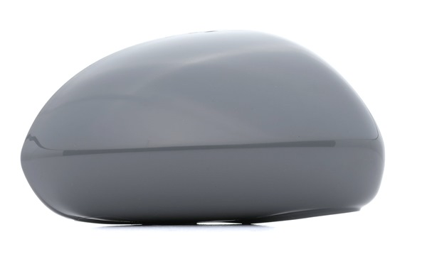RIDEX Rear-view mirror / wing mirror 23A0093
