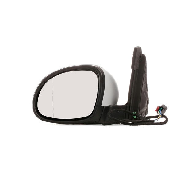 RIDEX Rear-view mirror / wing mirror 50O0424