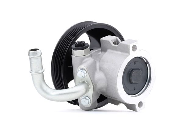 ANTARA Power steering pump 12H0089 RIDEX