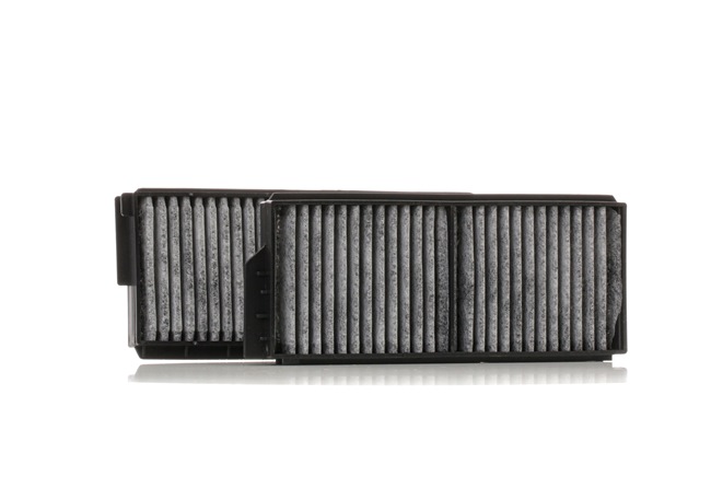 RX-4 Kupéfilter 424I0393 RIDEX