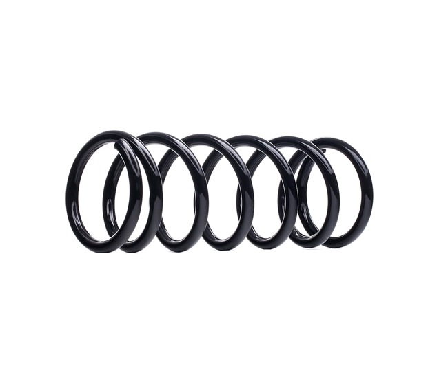 RIDEX NISSAN Fahrwerksfeder 188C0406
