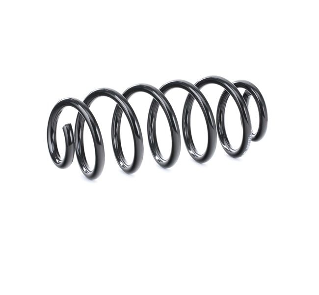 RIDEX Fjeder 188C0410