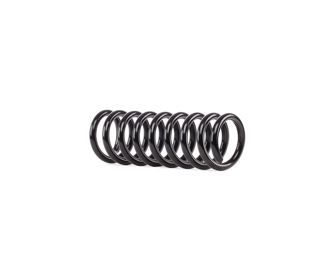 OEM A1703240004 RIDEX Jousi (auton jousitus) 188C0444 varten MERCEDES-BENZ
