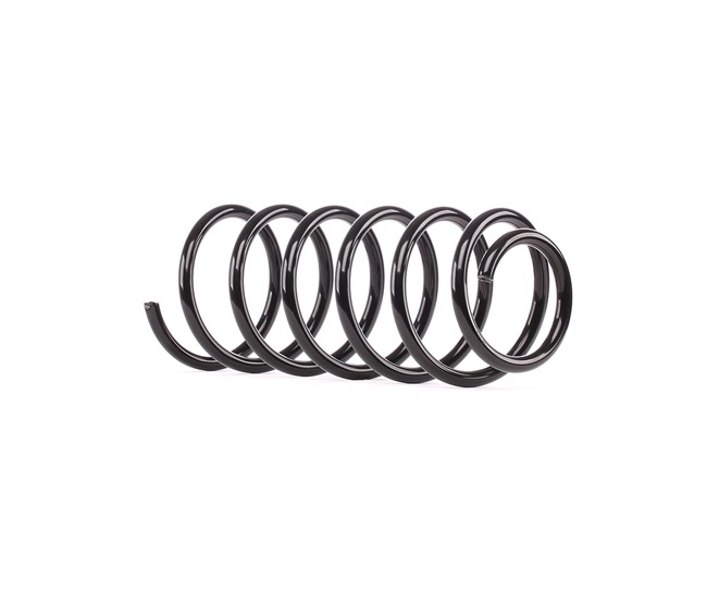 RIDEX Muelles 188C0453
