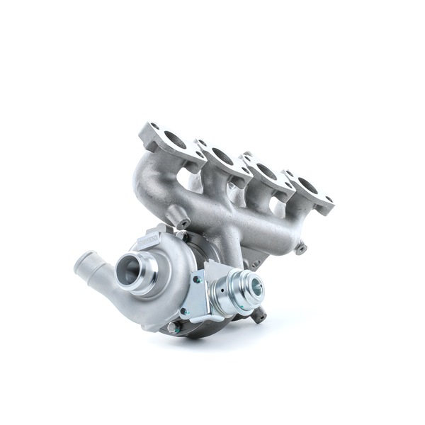 OEM 1383646 RIDEX Turbolader 2234C0075 for BMW, FORD, JAGUAR