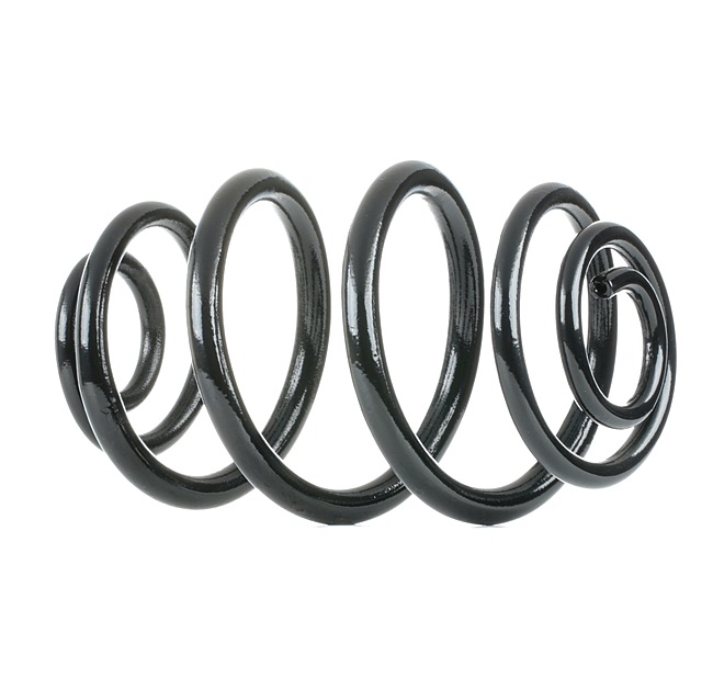 RIDEX Fjeder 188C0509