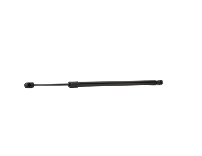 RIDEX 219G0762 CHEROKEE Heckklappendämpfer