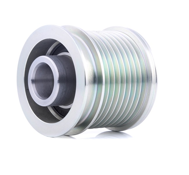 Dynamopoelie (1390F0061) van RIDEX Voor MERCEDES-BENZ SPRINTER 3,5-t Open laadbak/ Chassis (906) 318 CDI (906.131, 906.133, 906.135, 906.231, 906.233,... (135 KW / 184 PK / Van 2006)