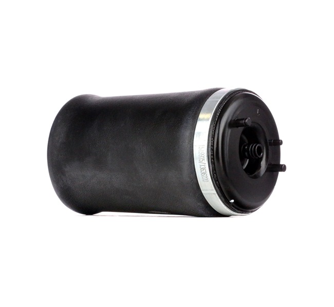 RIDEX Muelle neumático, suspensión (4119A0009) para BMW X5 (E53) 3.0 d (135 KW / 184 CV / de 2001)