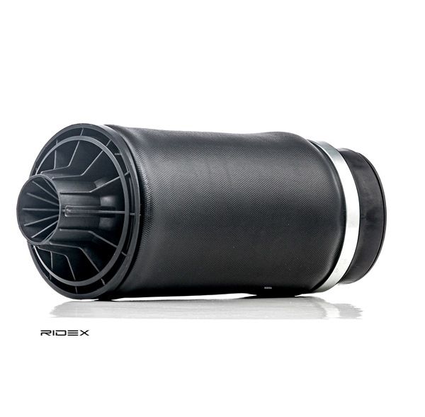 OEM A2513200025 RIDEX Ilmajousi 4119A0011 varten MERCEDES-BENZ