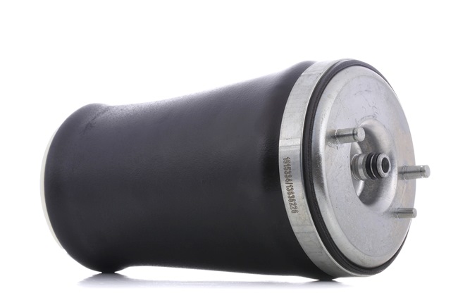 OEM 1095082 RIDEX Ilmajousi 4119A0012 varten BMW