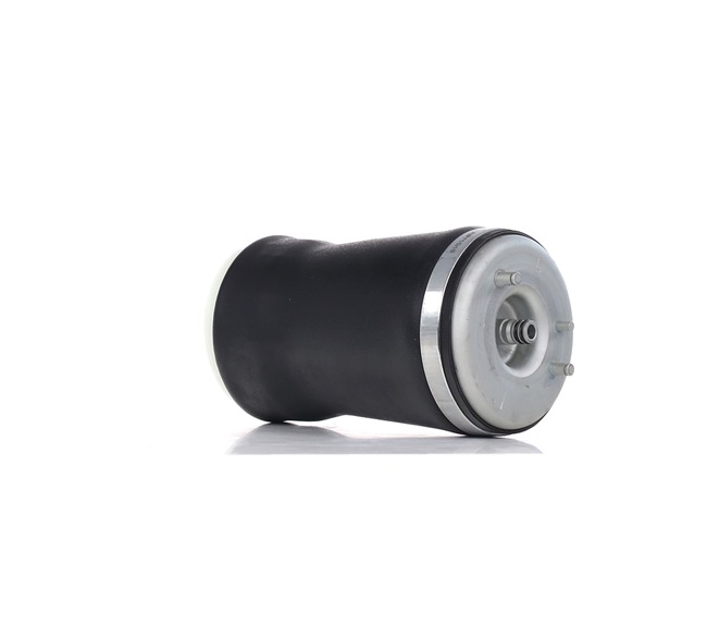 RIDEX Muelle neumático, suspensión (4119A0019) para BMW X5 (E53) 3.0 d (135 KW / 184 CV / de 2001)