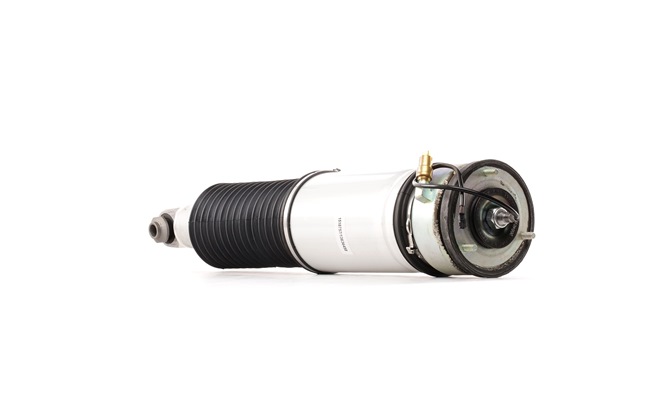 OEM 6785536 RIDEX Ilmajousijalka 4118A0009 varten BMW