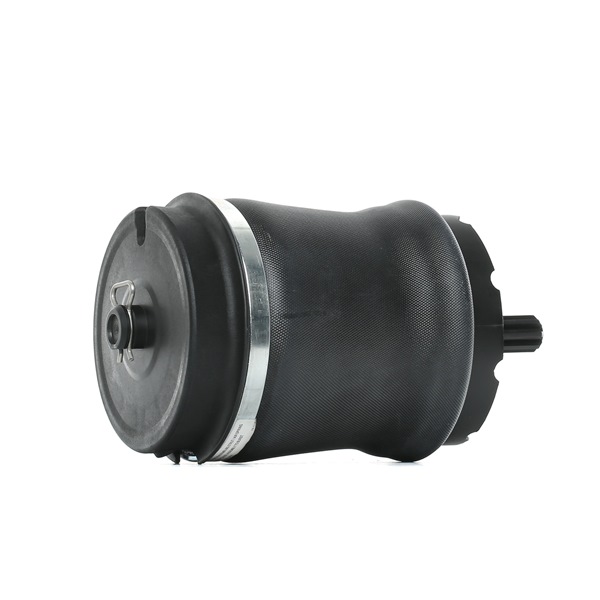 OEM RKB500080K RIDEX  Luftfeder, Fahrwerk 4119A0024 für LAND ROVER