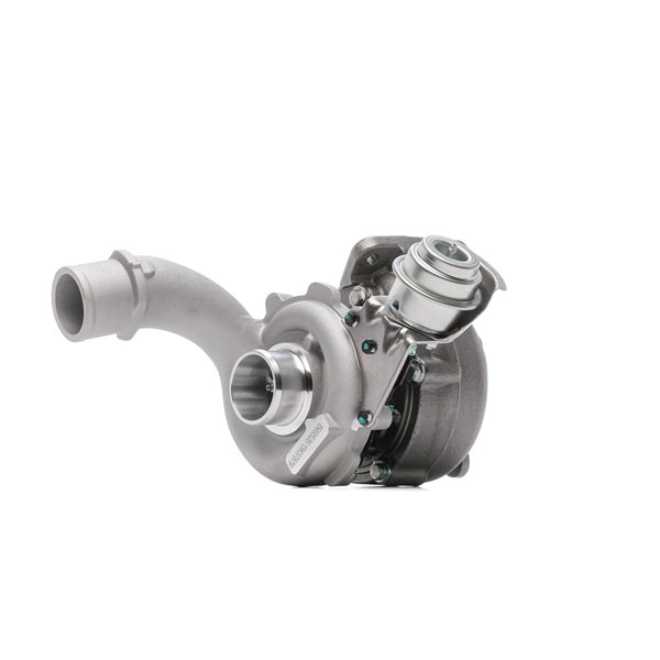 OEM MW30623801 RIDEX Turbolader 2234C0152 for VOLVO, NISSAN, MITSUBISHI, OPEL, SUZUKI