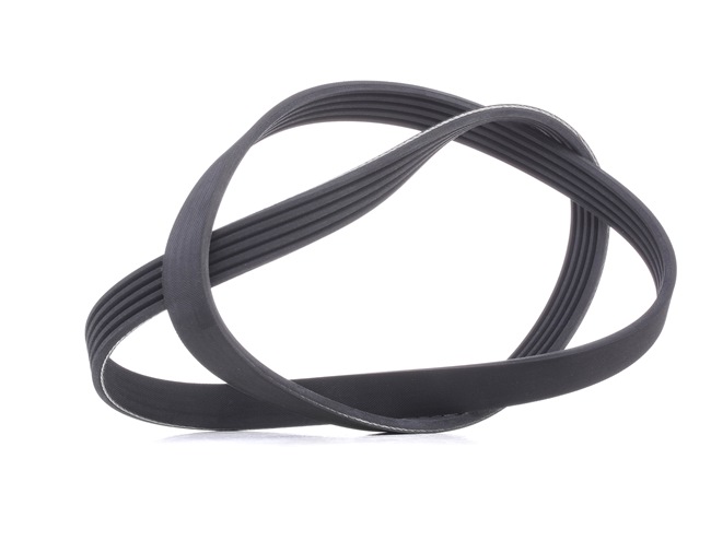 RIDEX Correia do alternador 305P0386