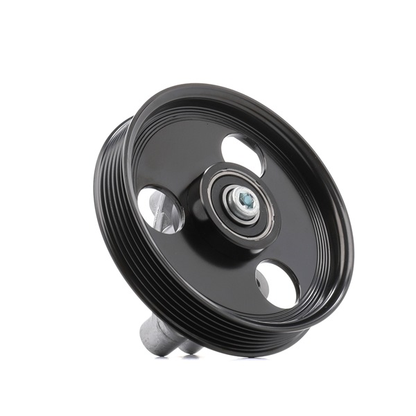 OEM 8200641468 RIDEX Poulie, tendeur de courroie d'accessoire 310T0202 pour RENAULT, DACIA, RENAULT TRUCKS, DAIHATSU, AC