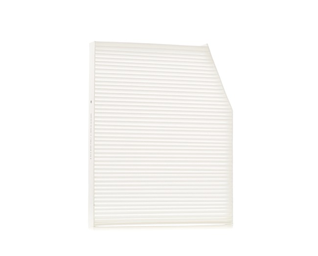 Innenraumfilter RIDEX 424I0401