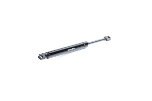 Tailgate strut 219G0700 RIDEX