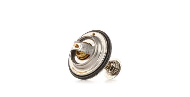 acheter Thermostat d'eau - RIDEX (316T0202)