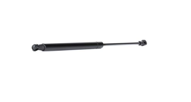 Heckklappendämpfer 219G0773 von RIDEX