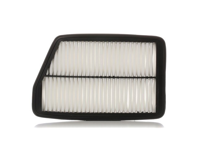 OEM 96263897 RIDEX Filtro aria 8A0766 per KIA, CHEVROLET, DAEWOO, VAUXHALL, DAF
