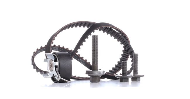 OEM C60612201 SKF Registerreimsett VKMA 04226 for MAZDA, MERCURY