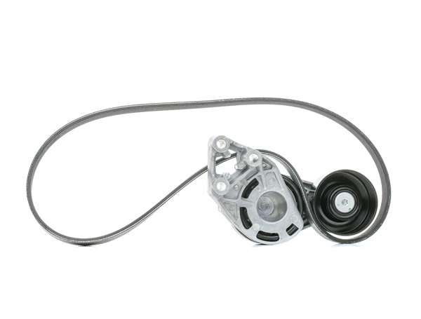 SKF Ribrem VKMA 31036