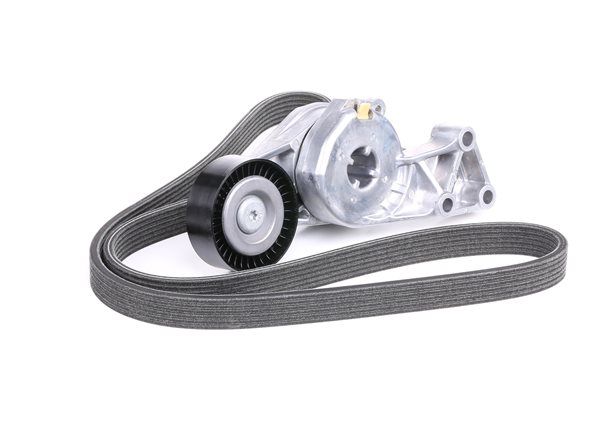 SKF Keilrippenriemen & Keilrippenriemensatz VKMA 31204
